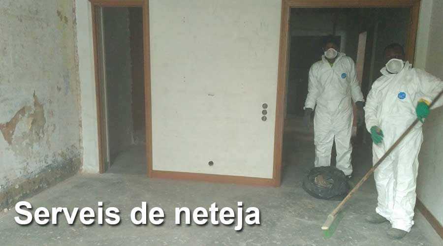neteja-especial